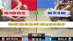 TRẬN 11 CPC2 30/4/2026