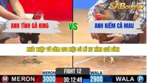 TRẬN 12 CPC2 17/4/2026