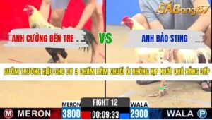 TRẬN 12 CPC2 24/4/2026