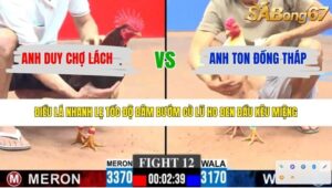 TRẬN 12 CPC3 16/4/2026