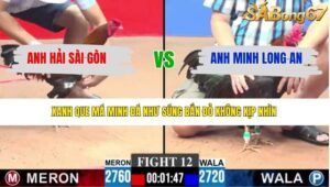 TRẬN 12 CPC3 18/4/2026