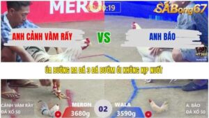 TRẬN 2 XÀ XÍA 16/4/2026