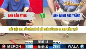 TRẬN 13 CPC2 29/4/2026