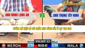 TRẬN 13 CPC3 23/4/2026