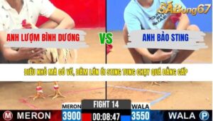 TRẬN 14 CPC2 17/4/2026