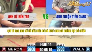 TRẬN 14 CPC2 26/4/2026