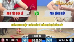 TRẬN 14 CPC2 29/4/2026