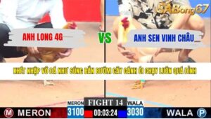 TRẬN 14 CPC3 19/4/2026