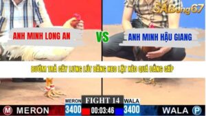 TRẬN 14 CPC3 20/4/2026