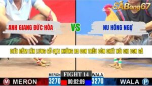 TRẬN 14 CPC3 27/4/2026