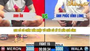 TRẬN 15 CPC2 18/4/2026