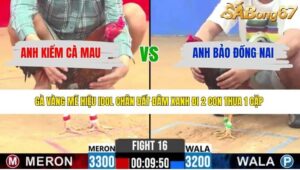 TRẬN 16 CPC2 16/4/2026