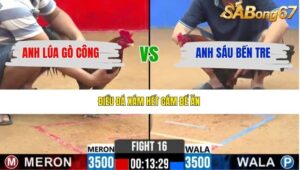 TRẬN 16 CPC2 17/4/2026