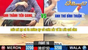 TRẬN 16 CPC2 22/4/2026