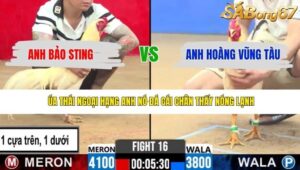 TRẬN 16 CPC2 24/4/2026