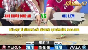 TRẬN 16 CPC2 26/4/2026