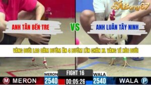 TRẬN 16 CPC2 30/4/2026