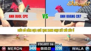 TRẬN 16 CPC3 27/4/2026