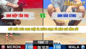 TRẬN 17 CPC2 24/4/2026