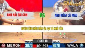 TRẬN 18 CPC2 20/4/2026