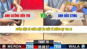 TRẬN 19 CPC2 24/4/2026