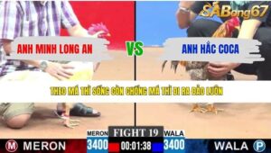 TRẬN 19 CPC3 27/4/2026