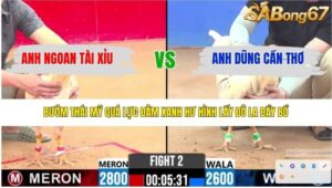 TRẬN 2 CPC2 12/4/2026
