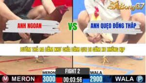 TRẬN 2 CPC2 18/4/2026