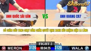 TRẬN 2 CPC3 26/4/2026