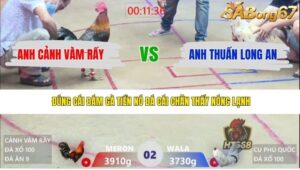 TRẬN 2 XÀ XÍA 26/4/2026