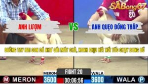 TRẬN 20 CPC2 26/4/2026