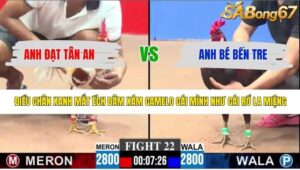 TRẬN 22 CPC3 30/4/2026