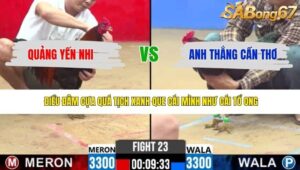 TRẬN 23 CPC2 24/4/2026