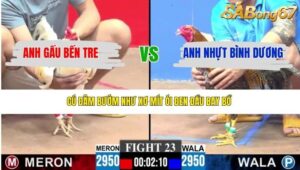 TRẬN 23 CPC3 16/4/2026