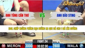 TRẬN 24 CPC2 25/4/2026