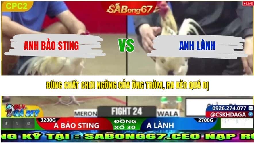 TRẬN 24 CPC2 29/4/2026