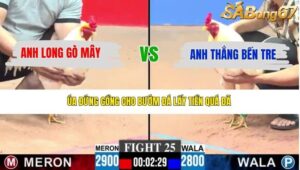 TRẬN 25 CPC3 20/4/2026