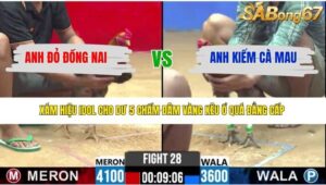 TRẬN 28 CPC2 16/4/2026