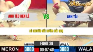 TRẬN 28 CPC2 22/4/2026