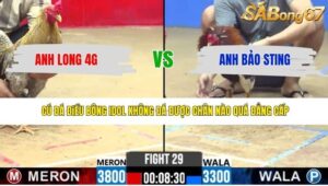 TRẬN 29 CPC2 24/4/2026