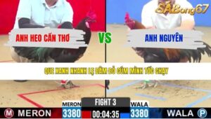 TRẬN 3 CPC2 28/4/2026