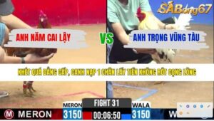 TRẬN 31 CPC2 12/4/2026