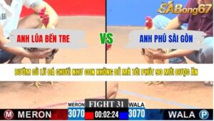 TRẬN 31 CPC3 23/4/2026