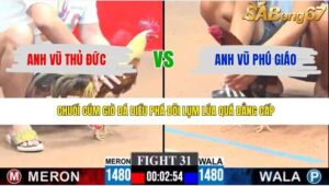 TRẬN 31 CPC3 25/4/2026