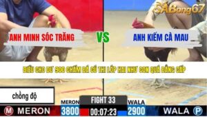 TRẬN 33 CPC2 24/4/2026