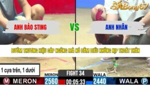 TRẬN 34 CPC2 24/4/2026