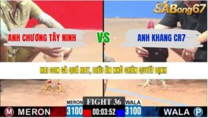 TRẬN 36 CPC3 23/4/2026