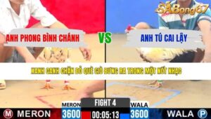 TRẬN 4 CPC2 26/4/2026