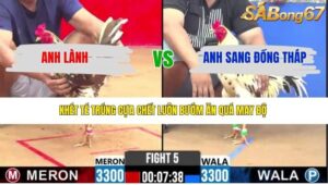 TRẬN 5 CPC2 17/4/2026