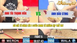 TRẬN 5 CPC2 22/4/2026